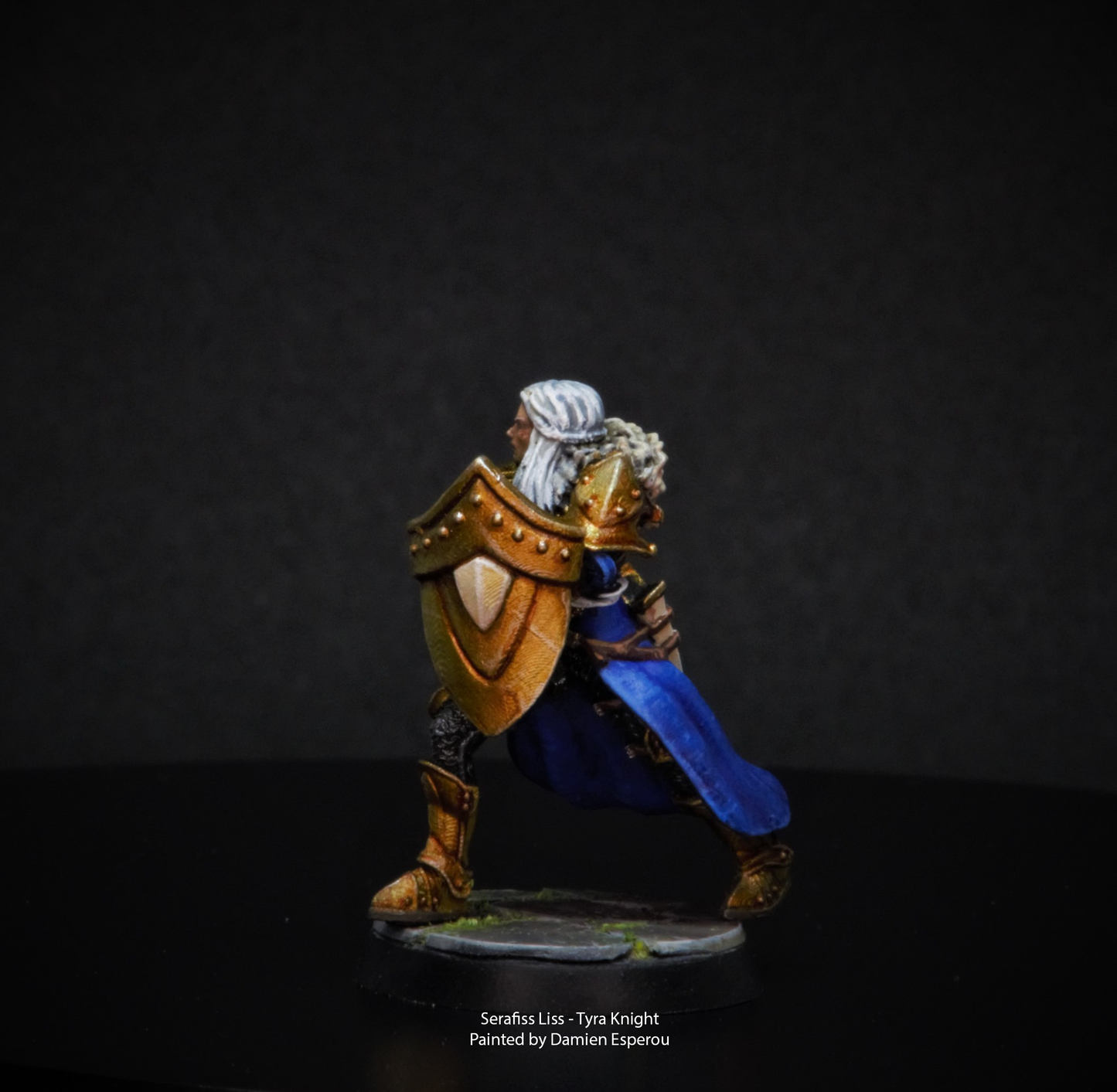 RPG/Tabletop Gaming Miniature - Female Tyra Knight Serafiss Liss - Unpainted