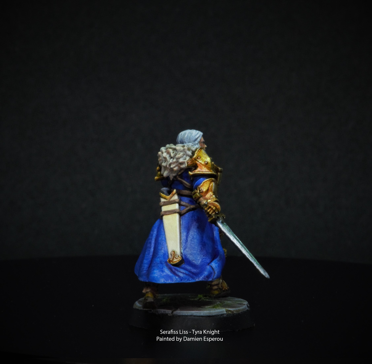 RPG/Tabletop Gaming Miniature - Female Tyra Knight Serafiss Liss - Unpainted