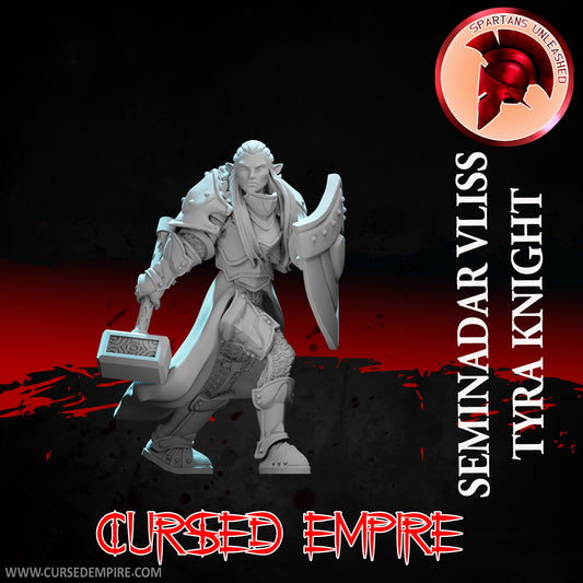 RPG/Tabletop Gaming Miniature - Tyra Knight Seminadar Vliss - Unpainted